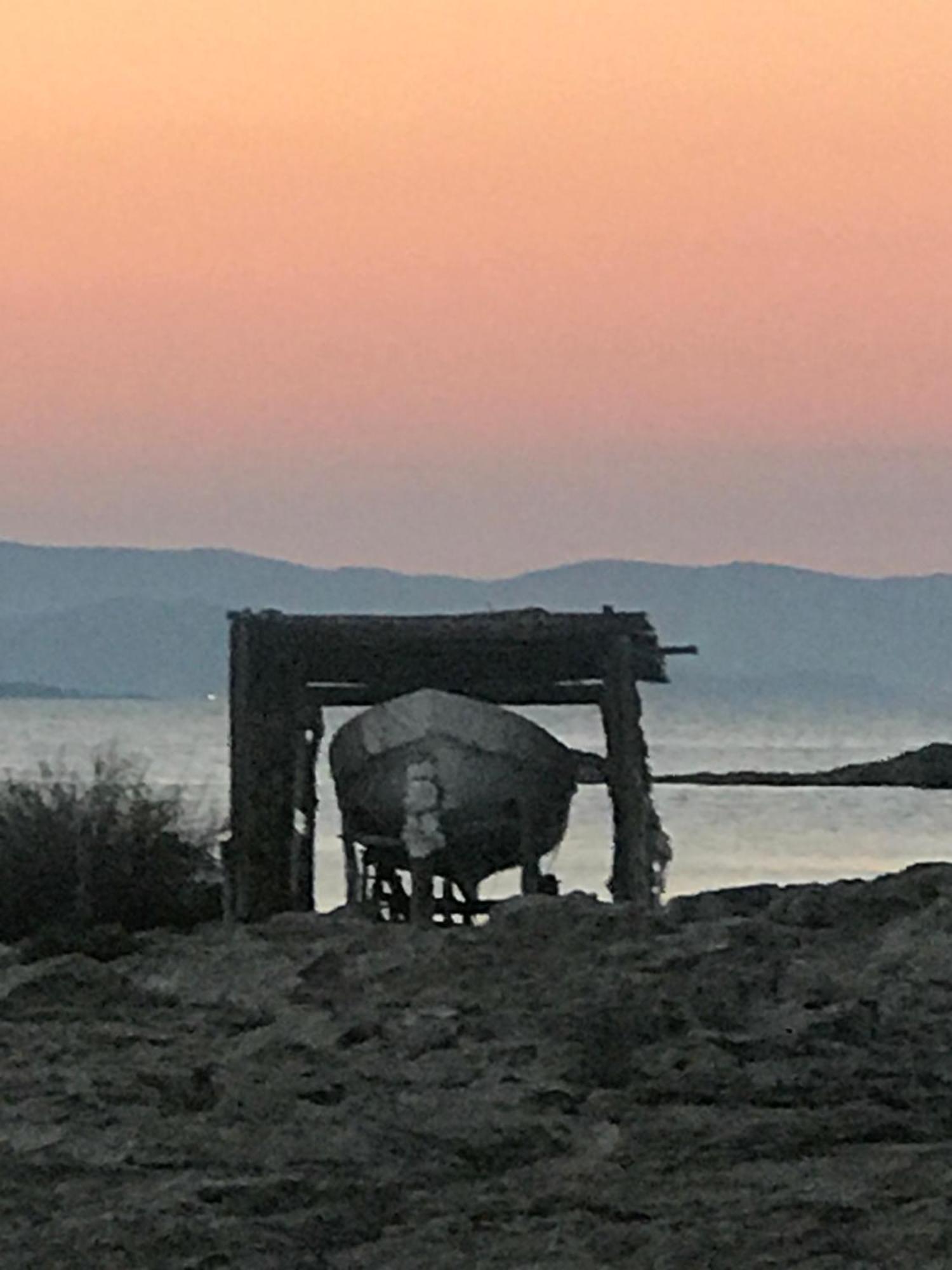 Es Pujols Vista Mare Διαμέρισμα Εξωτερικό φωτογραφία
